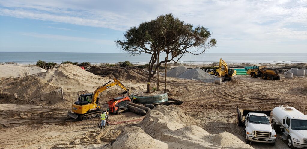 When You Should Hire a Tree Transplanting Company 8 When you should hire a tree transplanting company