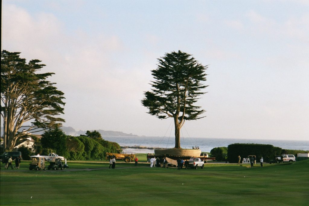 From Ancient Roots to Modern Giants: The Evolution of Large Tree Transplanting 9 From Ancient Roots to Modern Giants: The Evolution of Large Tree Transplanting -