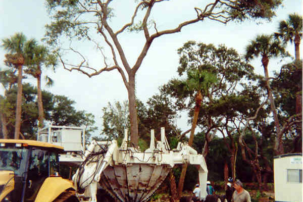 Kiawah_Cassique1-min