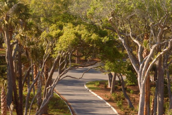 Kiawah_DSC_5280_Curb-min