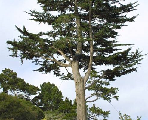 Favorite Photo Favorite Photo