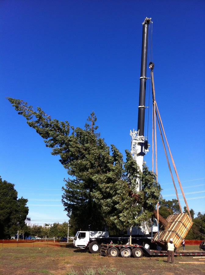 Stanford University 1 Stanford University -