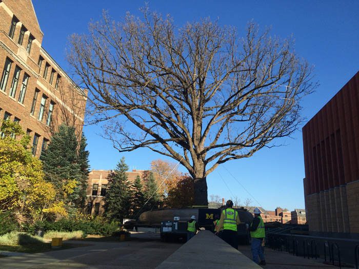 University of Michigan 1 University of Michigan -