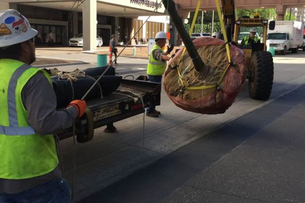 IMG_3719 (1) IMG_3719 (1)