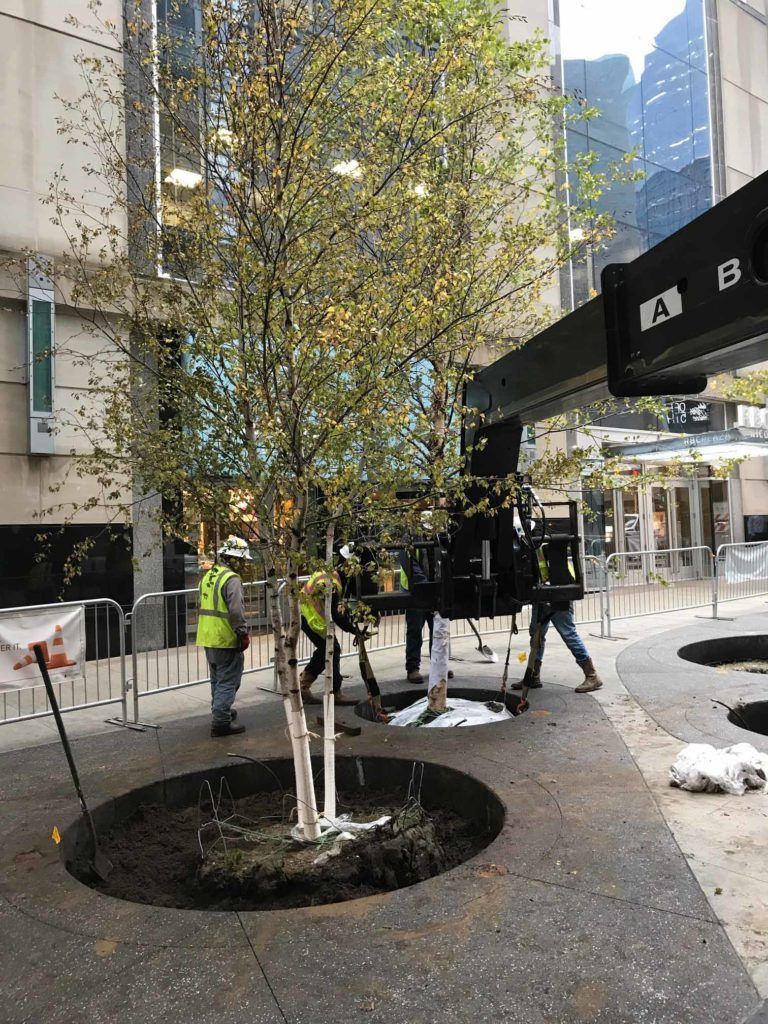 NicoletteMall_IMG_0397 Custom Grow -