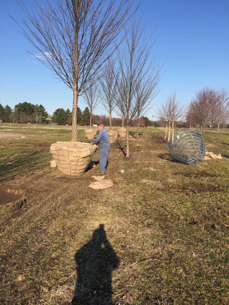 NicoletteMall_IMG_3314 Custom Grow -