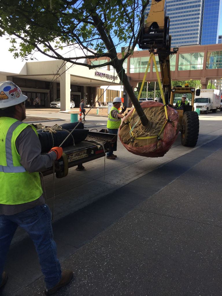 NicoletteMall_IMG_3719 (1) Custom Grow -