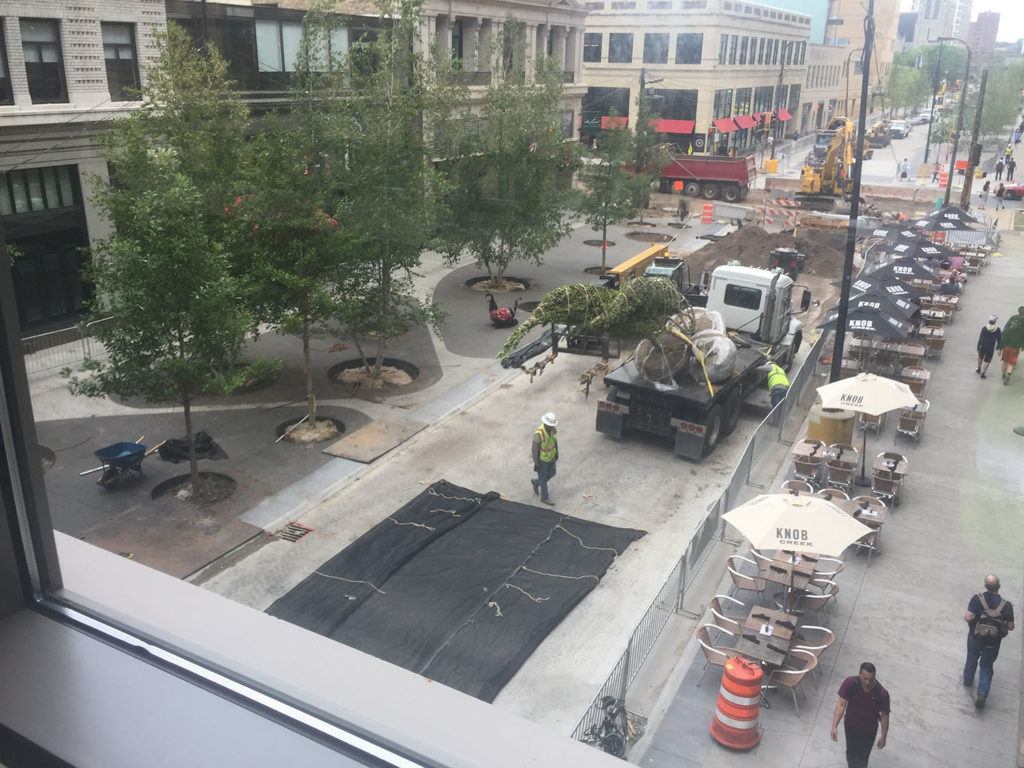 NicoletteMall_IMG_3864 Custom Grow -