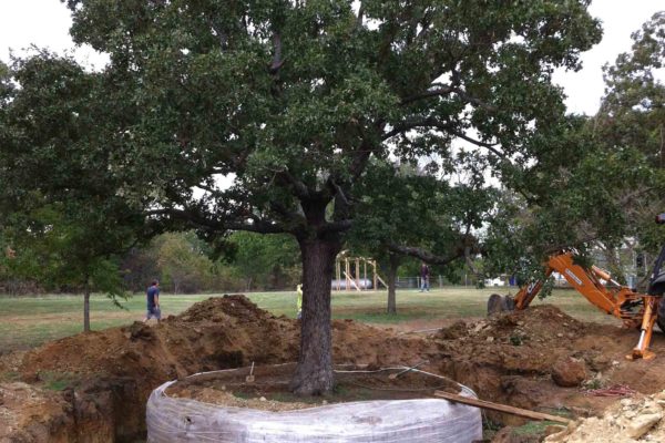 Osage_IMG_1535 Osage_IMG_1535