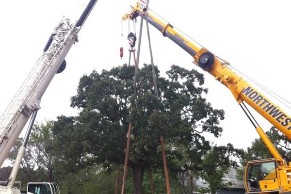 Osage_IMG_1580 Osage_IMG_1580