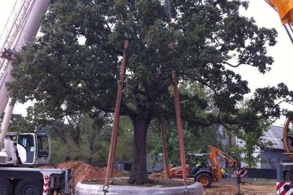 Osage_IMG_1582 Osage_IMG_1582