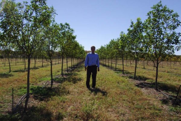 Speed Star 1.1471403 00 Speed Star 1.1471403 00