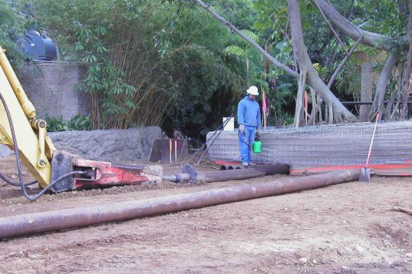 SanDiegoZoo_Copy (1) ofP1010046 SanDiegoZoo_Copy (1) ofP1010046