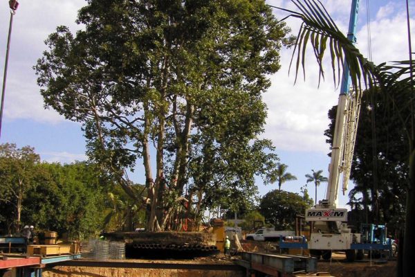 SanDiegoZoo_P1010094 SanDiegoZoo_P1010094