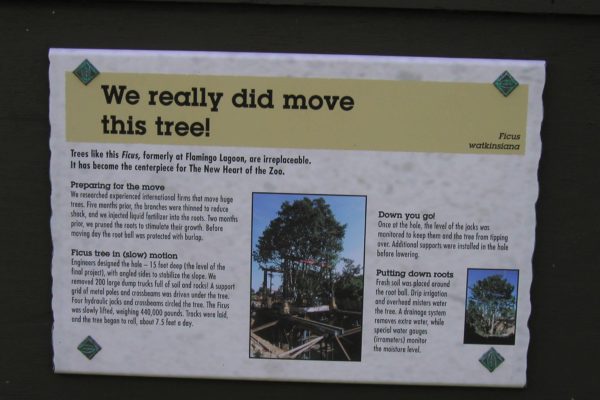 SanDiegoZoo_SDZoo 28 SanDiegoZoo_SDZoo 28