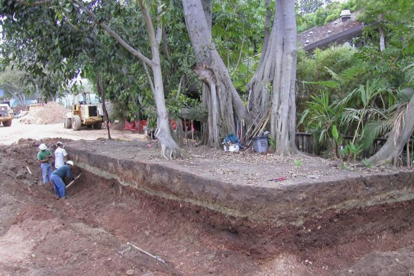 SanDiegoZoo_SDZoo 4 SanDiegoZoo_SDZoo 4