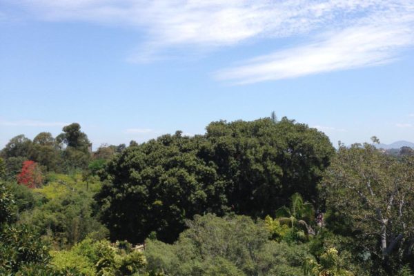 SanDiegoZoo_photo-1 SanDiegoZoo_photo-1