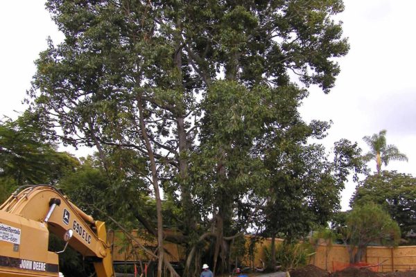 SanDiegoZoo_sandiegozoo SanDiegoZoo_sandiegozoo