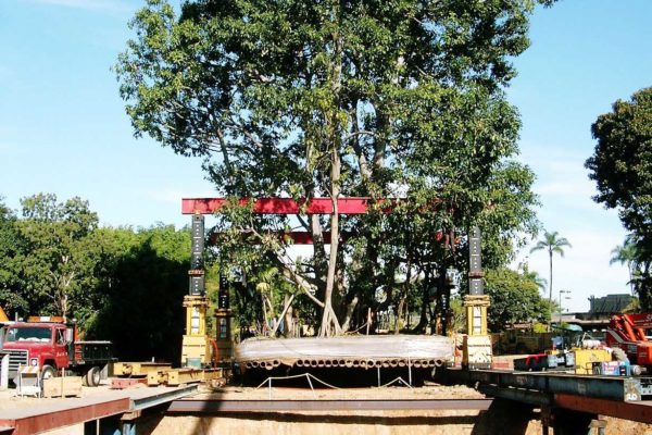 SanDiegoZoo_zoo2 SanDiegoZoo_zoo2