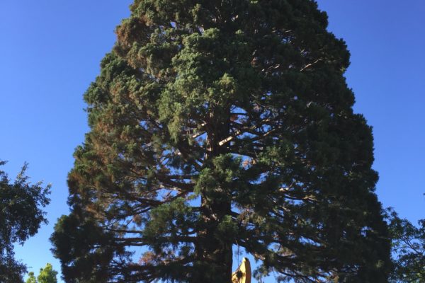 St.Luke_IMG_0878-min St.Luke_IMG_0878-min