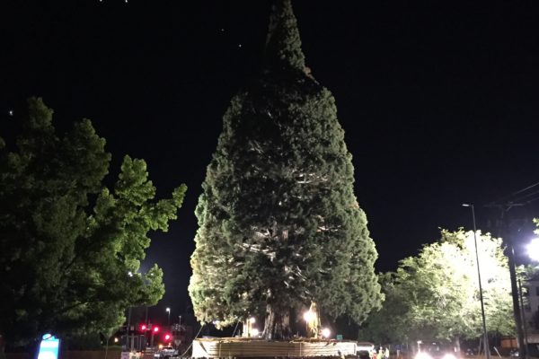 St.Luke_IMG_0911-min St.Luke_IMG_0911-min