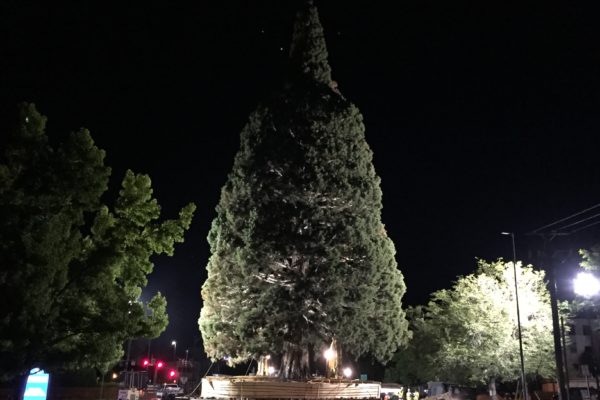 St.Luke_IMG_0916-min St.Luke_IMG_0916-min