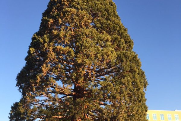 St.Luke_IMG_1423-min St.Luke_IMG_1423-min