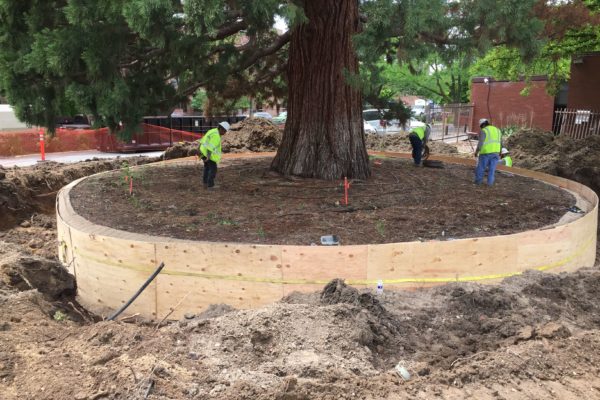 St.Luke_IMG_2636-min St.Luke_IMG_2636-min