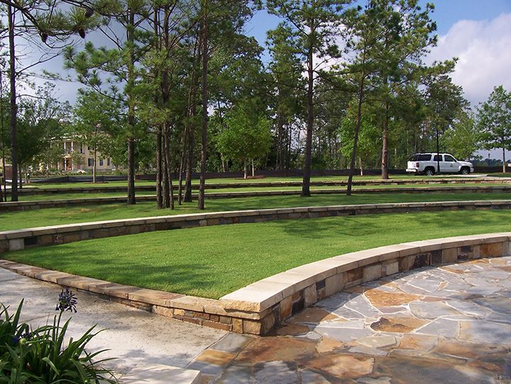 Landscaping and Moving Large Trees 4 TheWoodlands_100_1768 | Landscaping and Moving Large Trees | Treemover Environmental Design Inc (EDI)