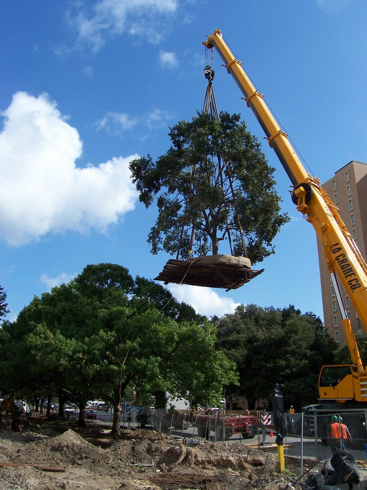 University of Texas -