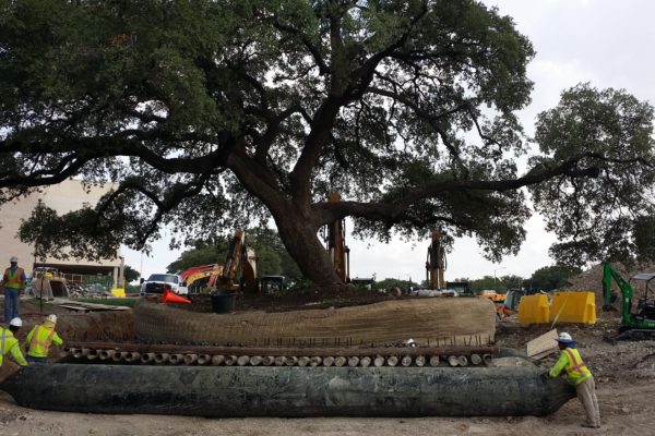 UT_20140731_170748-min UT_20140731_170748-min