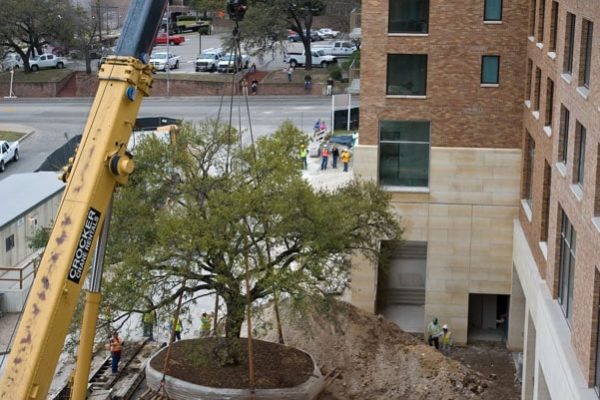 UT_437-min UT_437-min