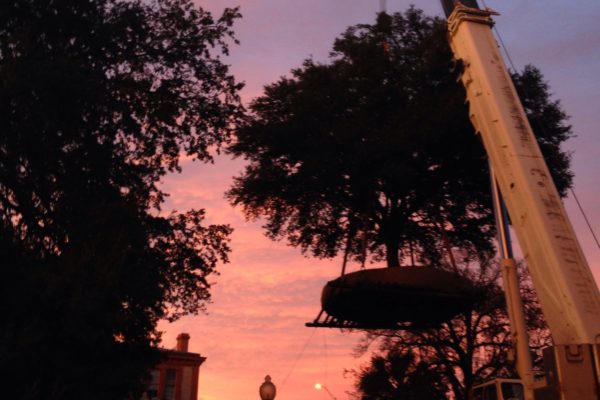 UT_IMG_0676-min UT_IMG_0676-min