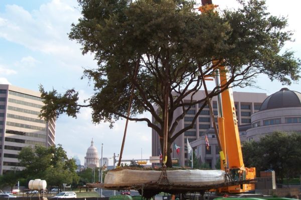 UT_load 77-2-min UT_load 77-2-min