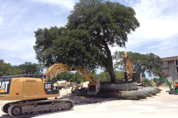 UT_photo-1-min UT_photo-1-min