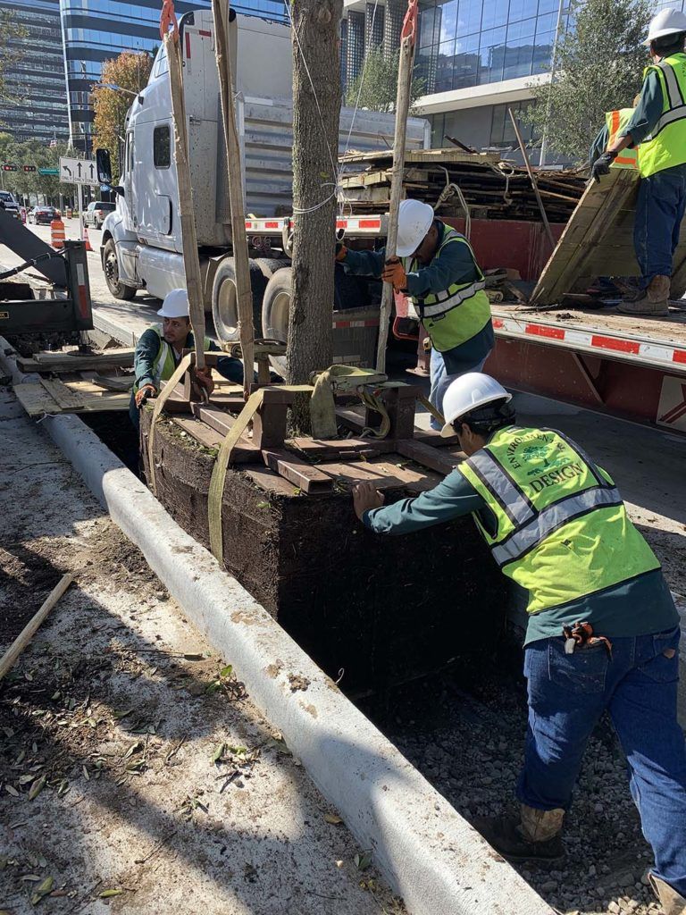 UptownHouston_IMG_6355 Custom Grow -