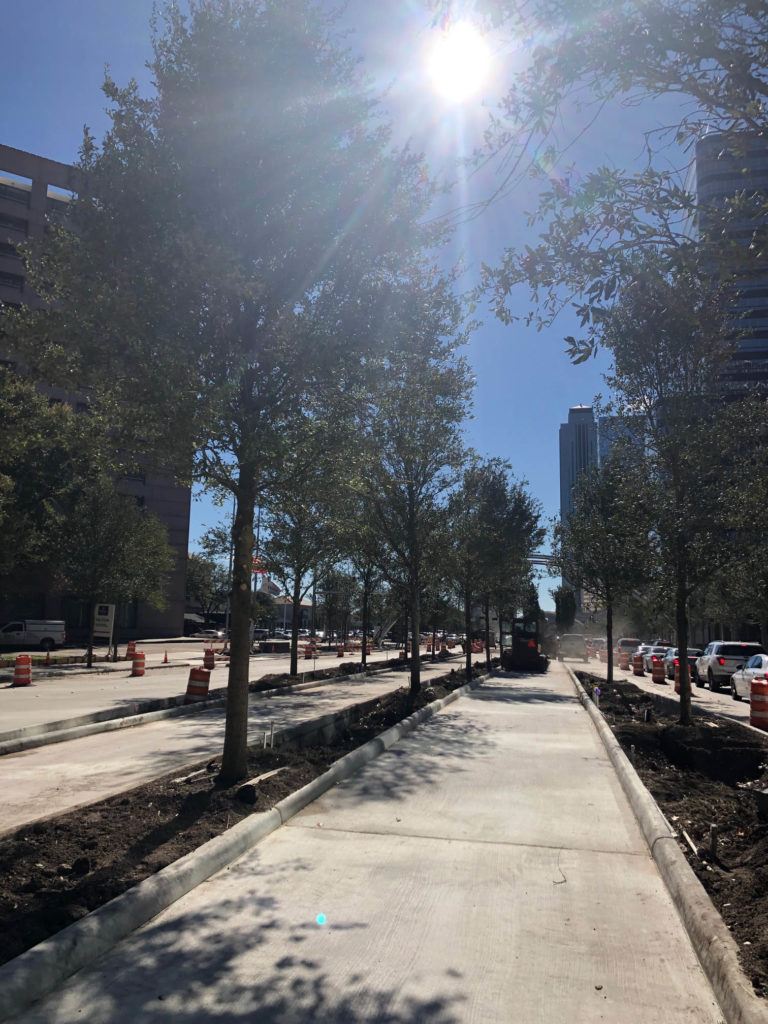 UptownHouston_IMG_7976 Custom Grow -