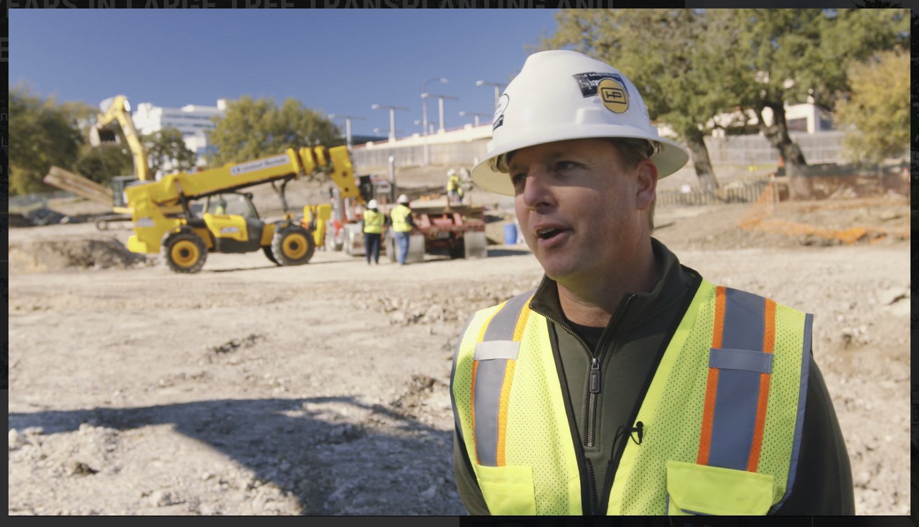 Large Tree Transplanting - Nationwide Tree Moving Company Relocating Trees Large and Small -