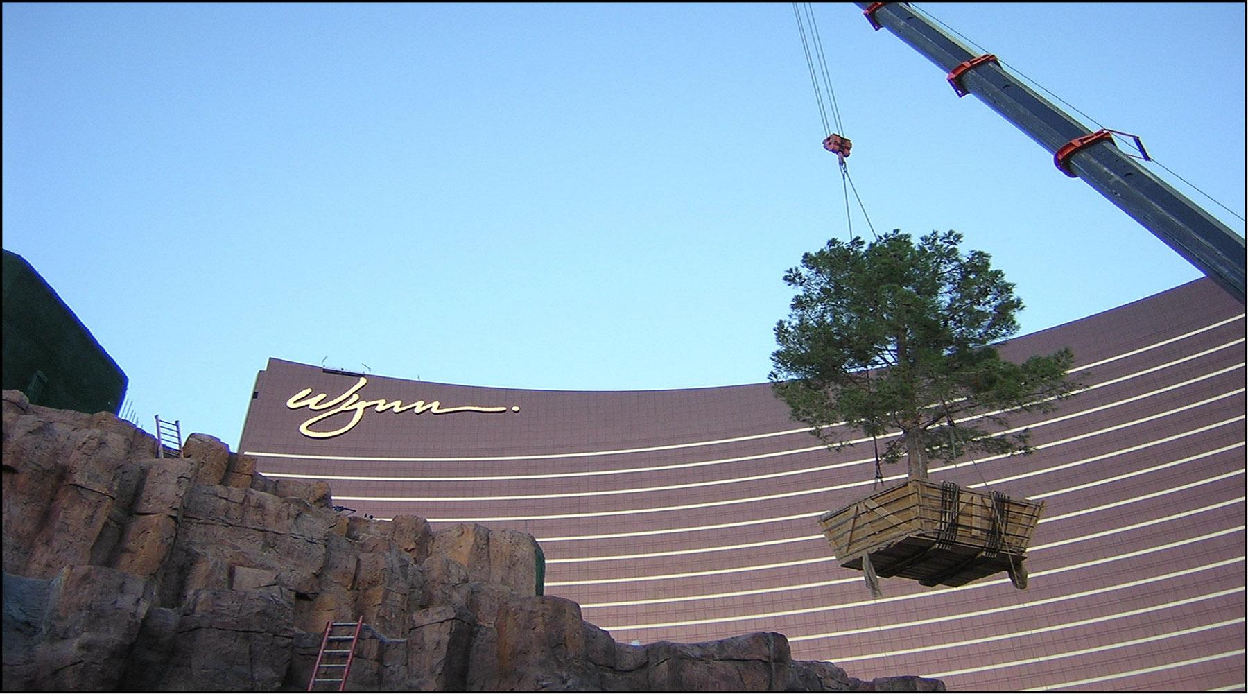 Wynn Resort -