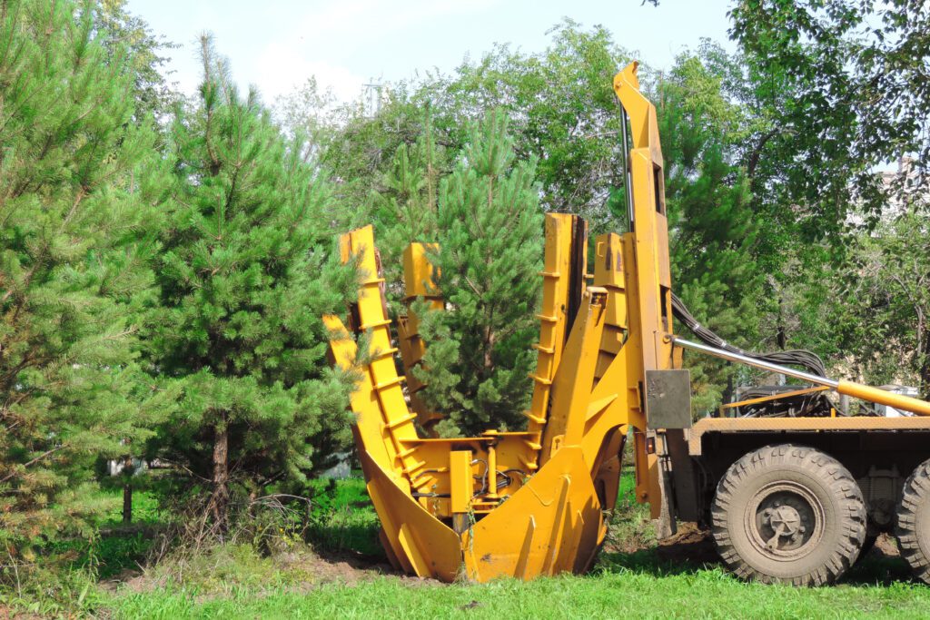 Common Myths About Moving Large Trees Debunked 5 Professional crew relocating a large mature tree using advanced equipment at a construction site.