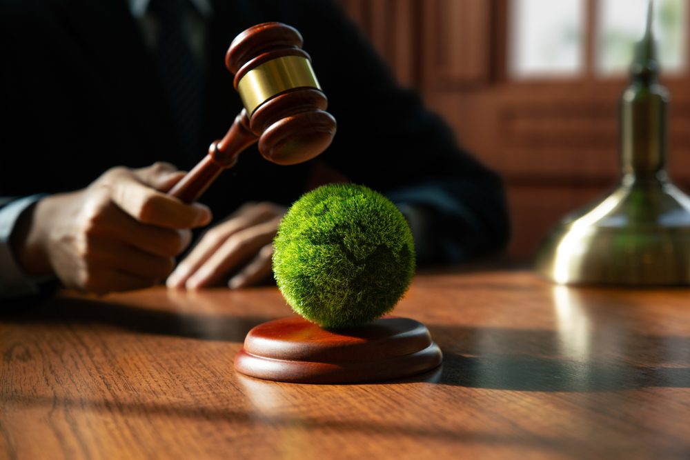 How Do Tree Moving Laws Vary by State? 3 tree moving laws by state